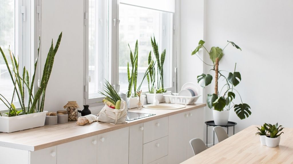 Ideias Cozinha Decorada Com Plantas